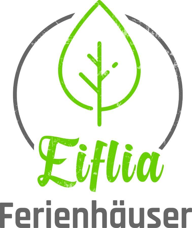 Eiflia- Im Warchetal Villa Bullange Ngoại thất bức ảnh
